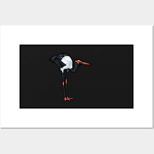 Saddle-Billed Stork Posters and Art